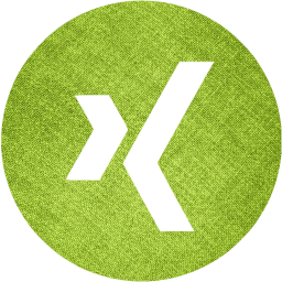 xing 4 icon