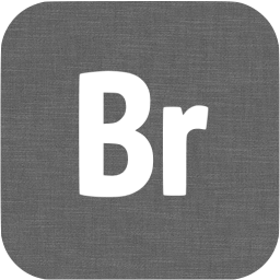 adobe br icon