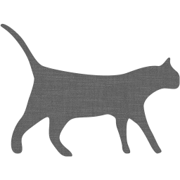 cat 3 icon