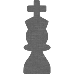 chess 22 icon