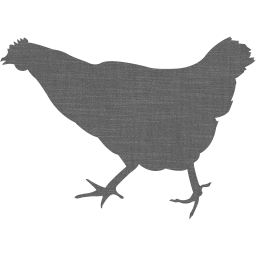 chicken 2 icon