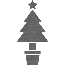 christmas 19 icon