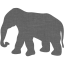 elephant 7