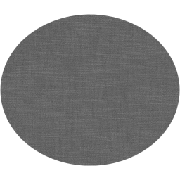 ellipse icon