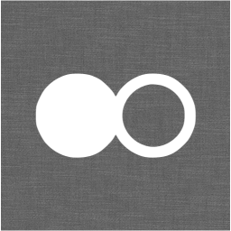 flickr 2 icon