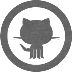 github 10 icon