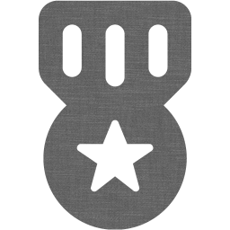 medal 3 icon