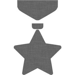 medal icon