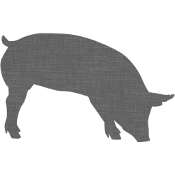 pig 7 icon