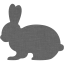 rabbit 2