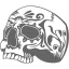 skull 24