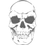 skull 41