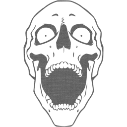 skull 65 icon