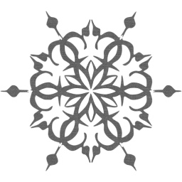 snowflake 13 icon