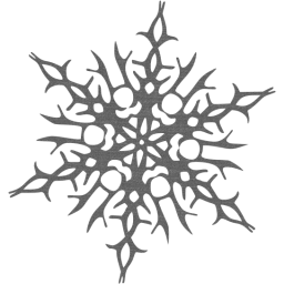 snowflake 14 icon