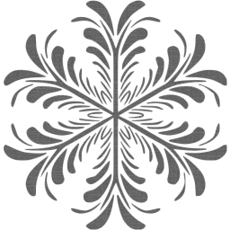 snowflake 17 icon