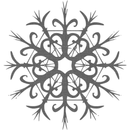 snowflake 28 icon