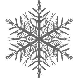 snowflake 37 icon