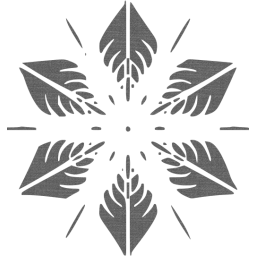 snowflake 5 icon