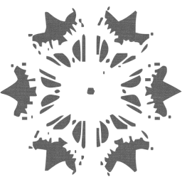 snowflake icon