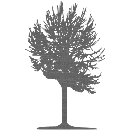 tree 2 icon