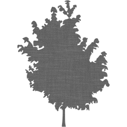 tree 25 icon