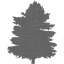 tree 36