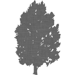 tree 76 icon