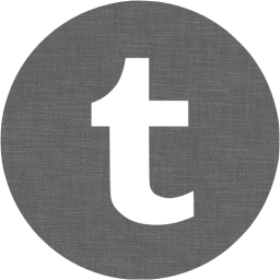 tumblr 4 icon