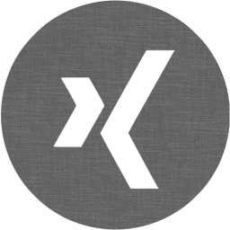 xing 4 icon