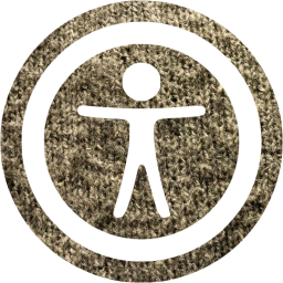 accessibility 2 icon