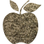 apple 2