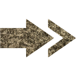 arrow 13 icon