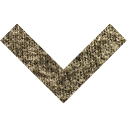 arrow 204 icon
