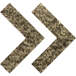 arrow 31 icon