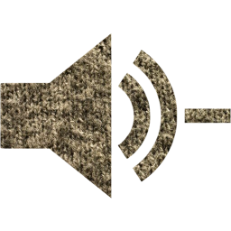 audio remove icon