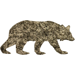 bear 5 icon