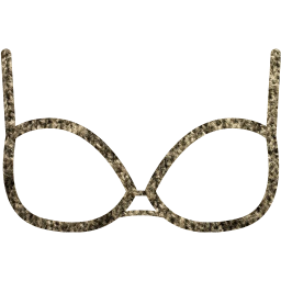 bra 2 icon