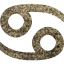 cancer 2