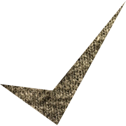 check mark 10 icon