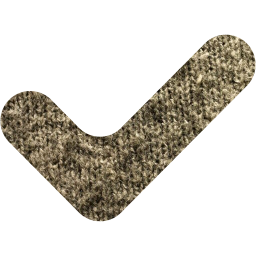 check mark 12 icon