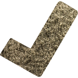 check mark icon