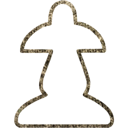 chess 13 icon