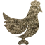 chicken