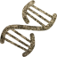 dna helix