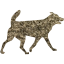 dog 32