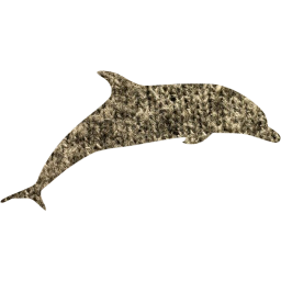 dolphin 3 icon