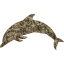 dolphin