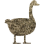 duck 2