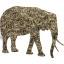 elephant 3